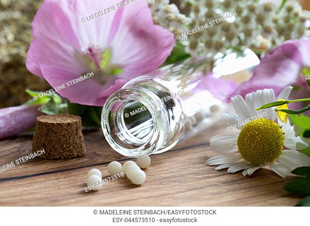 A bottle of homeopathic globules with chamomile, yarrow and other herbs and flowers in the background