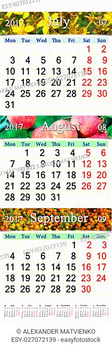 office calendar for three months July August and September 2017 with pictures of flowers of St.-Johns wort apples and marigolds