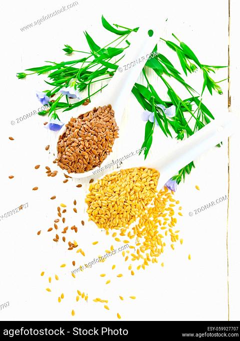 Linen seeds white and brown in two spoons, stalks of flax with blue flowers and leaves on a wooden board background from above
