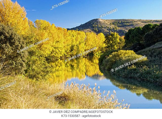 Duero River. Valbuena de Duero. Valladolid Province. Castilla y Leon. Spain