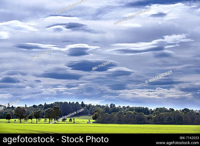 Föhn clouds (lenticularis), in the foothills of the Alps, Upper Bavaria, Bavaria, Germany, Europe