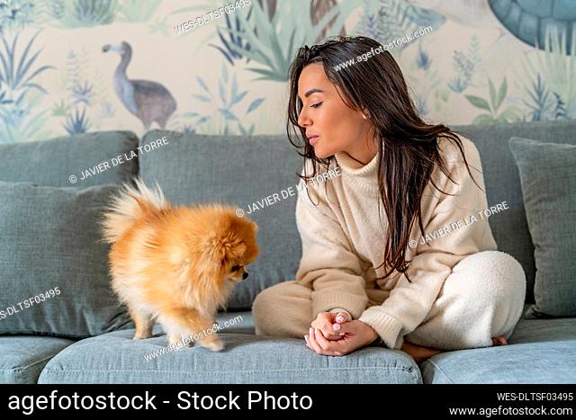 Young woman playing with dog on sofa at home