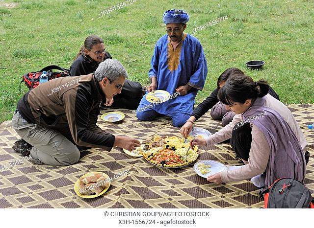 lunch picnic in a clearing, Atlas cedar forest, near Azrou, Middle Atlas, Morocco, North Africa