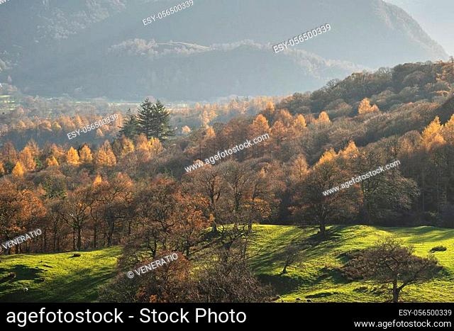 Stunning Autumn Fall landscape image of the view from Catbells in the Lake District with vibrant Fall colors being hit by the late afternoon sun