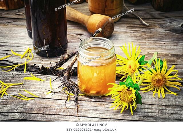 Medicinal folk remedy tincture from the roots of inula