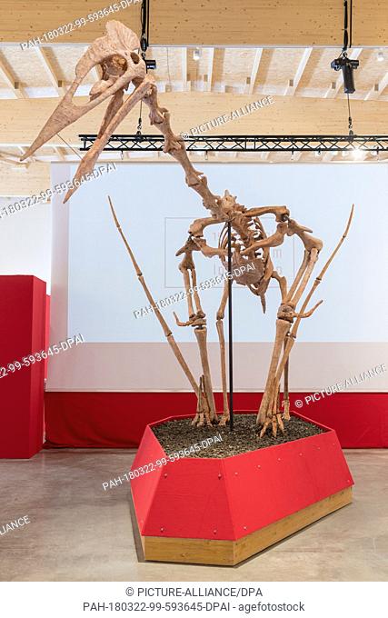 22 March 2018, Germany, Denkendorf: A model of a giant flying dinosaur is on display at the Dinosaur Museum Altmuehltal. With its 12m wingspan