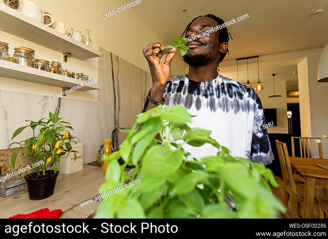 Smiling man with eyes closed smelling basil leaves in kitchen