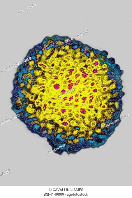HCV - Hepatitis C virus. Single-stranded RNA virus in a nucleocapsid. Image HDRI made according to a view under transmission electron microscope