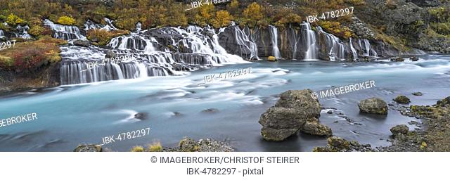 Hraunfossar waterfall in autumn, Vesturland, West Iceland, Iceland, Europe