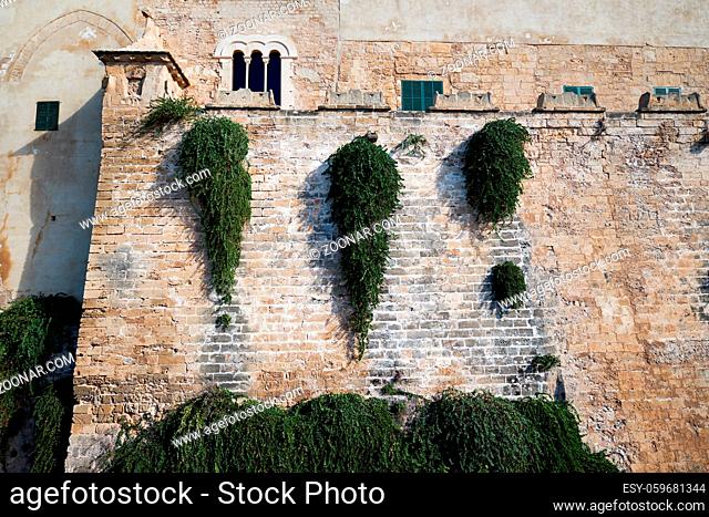 Full frame view stony wall of Cathedral La Seu famous ancient tourist attraction in Palma de Mallorca, symbol of city, largest Gothic church most valuable...