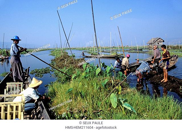 Myanmar Burma, Shan State, settlement of floating gardens on Inle Lake