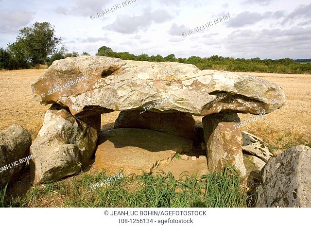France, 85: dolmen salvatole