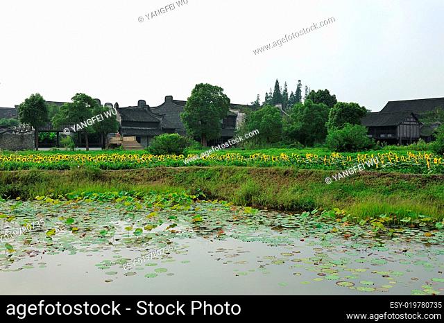China village near the sunflower field