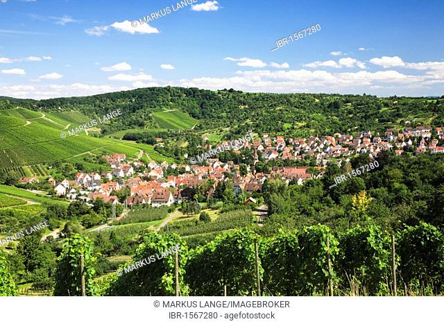Uhlbach surrounded by vineyards near Stuttgart, Baden-Wuerttemberg, Germany, Europe
