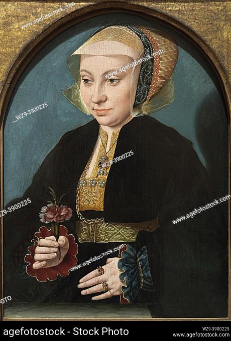 Bartholomäus Bruyn the Elder (1493-1555). Portrait of a Woman. ca. 1538-1539. Oil on panel. 34. 9 x 25. 5 cm. . . Barthel Bruyn was a German Renaissance painter...