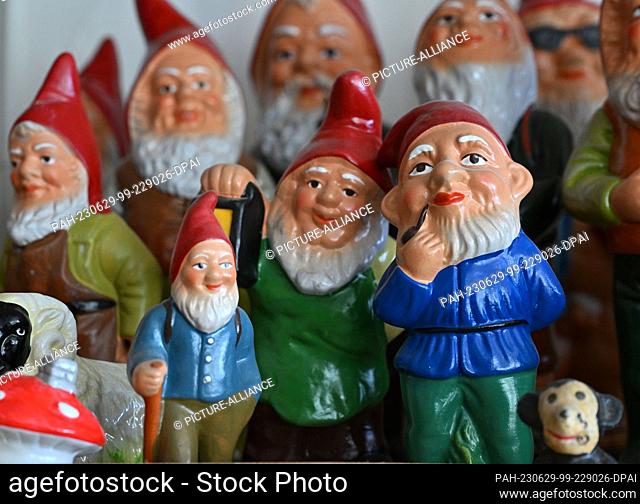 29 June 2023, Thuringia, Geratal: Various garden gnomes stand on a shelf of the Zwergstatt manufactory Gräfenroda. The manufactory for garden gnomes is the last...