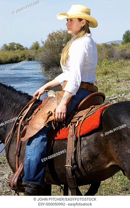 Montana cowgirl, horse, Montana, USA