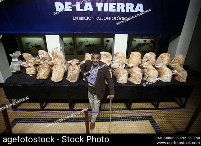 03 August 2023, Peru, Lima: Peruvian researcher Mario Urbina stands next to the bones of the whale Perucetus colossus, which he discovered with his team in the...