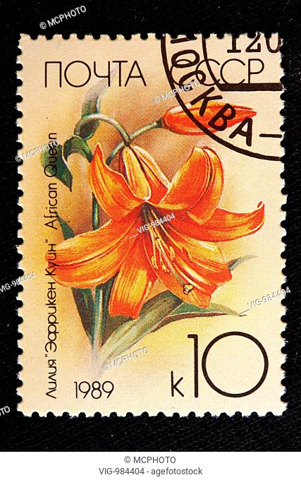 Lily African Queen (Lilium speciosum), postage stamp, USSR, 1989 .| - 06/08/2007
