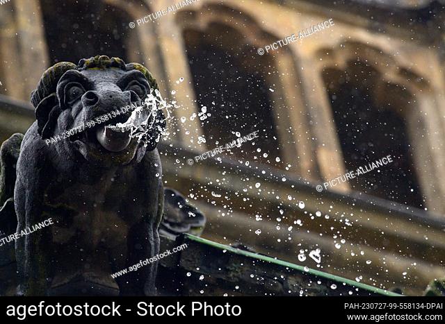 27 July 2023, Saxony-Anhalt, Magdeburg: Rainwater gushes out of a gargoyle at Magdeburg Cathedral. In the afternoon, an area of rain had passed over Magdeburg