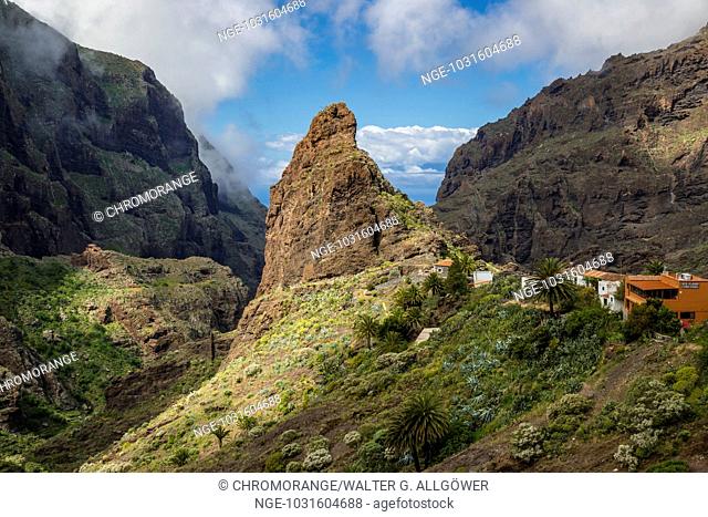 Bergdorf Masca, Masca-Schlucht, Barranco de Masca, Teno-Gebirge, Teneriffa, Kanarische Inseln, Spanien, Europa