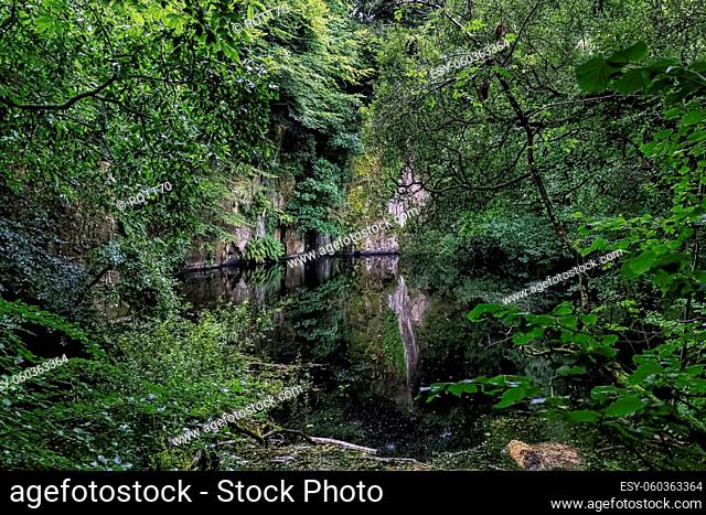 Lake in Kennall Vale Nature Reserve, Ponsanooth, Cornwall, United Kingdom