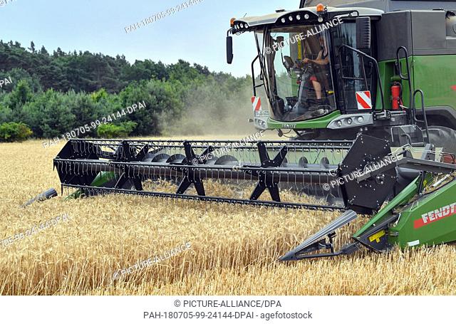 5 July 2018, Trebbin, Germany: Wheat is harvested by a member of the agricultural cooperative Trebbin eG with a combine harvester