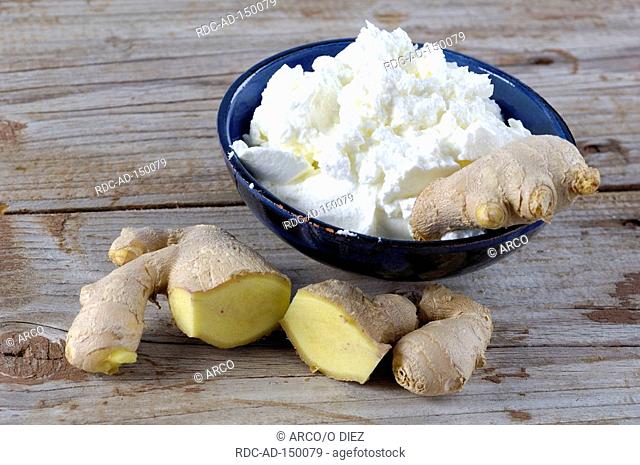 Common Ginger roots and curd Zingiber officinale