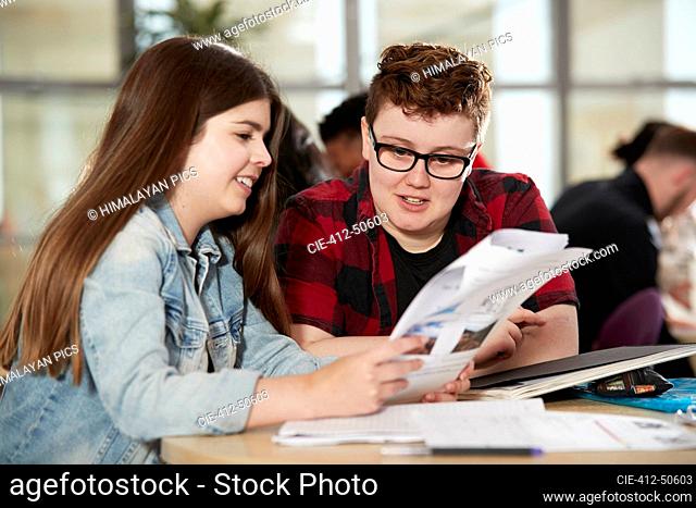 College students studying together
