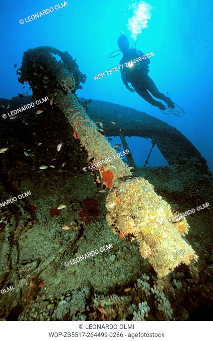 Egypt, Red Sea, Gubal Straight, Thistlegorm Shipwreck, cannon, diver on top