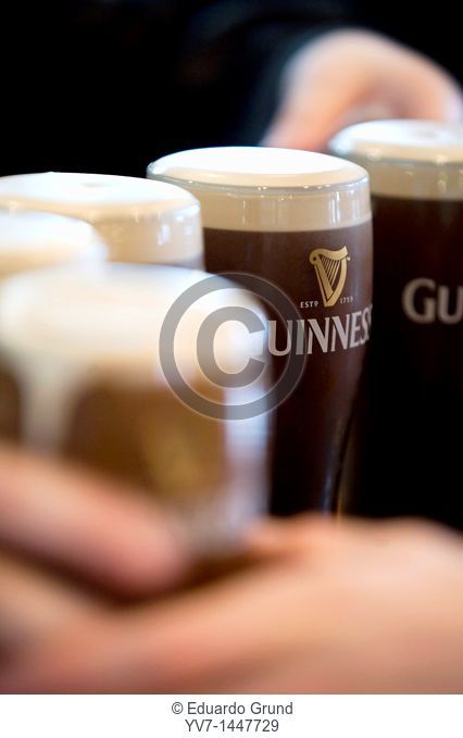 Guinness pints in the Storehouse Guinness Restaurant  Dublin, Leinster, Ireland, Europe