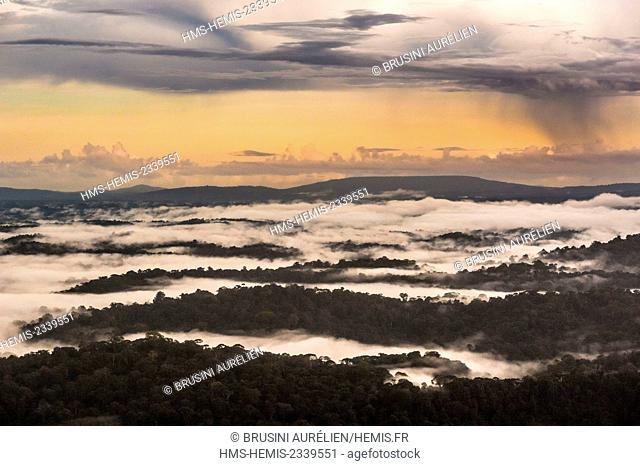 France, Guyana, French Guyana Amazonian Park, heart area, storm on the Amazon forest