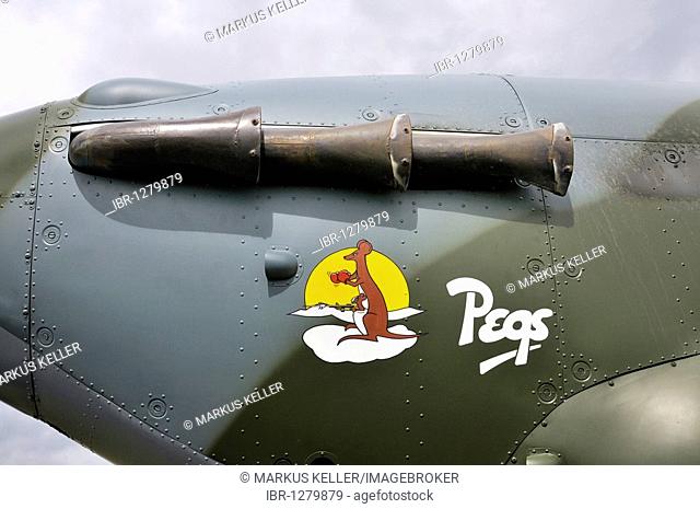 Nose art, exhaust pipe of a British Hawker Hurricane fighter aircraft, Europe's largest meeting of vintage planes at Hahnweide, Kirchheim-Teck