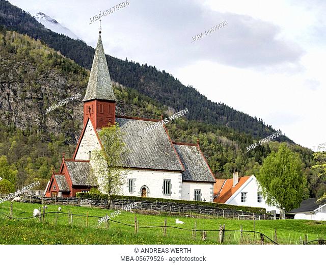 Historical church of Dalen at the Lustrafjord, sheep on meadows, inner branch of the Sognefjord, Sogn og Fjordane, Norway