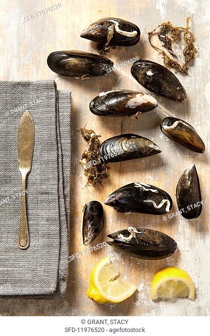 Live mussels on a wash board with lemon wedges