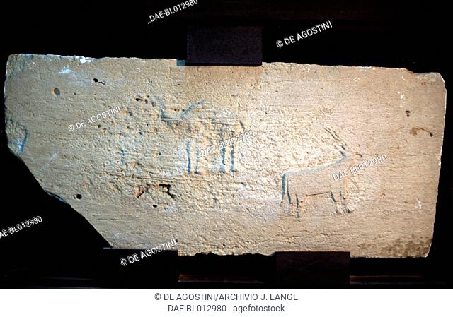 Dromedary and gemsbok, stone relief from Umm an-Nar, United Arab Emirates. Umm an-Nar civilisation, 3000 BC.  Al Ain, Al Ain National Museum