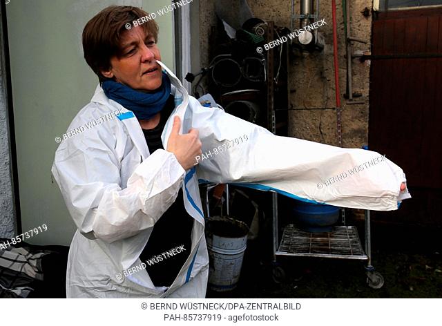 Official veterinarian Heike Neumann puts on a protective suit to inspect the observance of the requirement to pen poultry in Rostock,  Germany, 17 November 2016