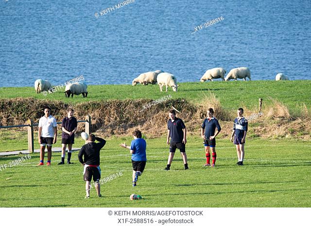 Youn men boys taking part in rugby training coaching practice, on the Cardigan Bay coast, next tp a field full of sheep, Aberaeron Wales UK