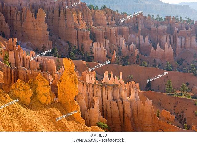 view from Sunset Point to giant natural amphitheater with eroded pillars of rocks called hoodoos in morning light, USA, Utah, Bryce Canyon National Park