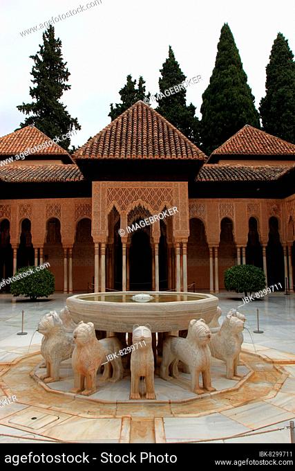 Granada, Alhambra, part of the palace complex, Nasrid Palace, in the Patio de los Leones, Court of the Lions, Fountain of the Lions, Andalusia, Spain, Europe