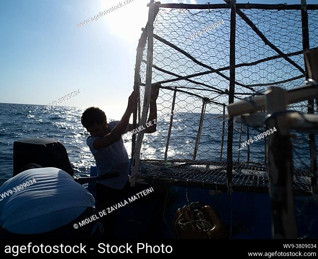 fisherman picking up a cage