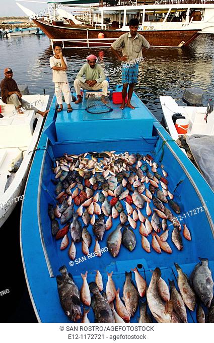 Middle East, Oman, Mussandam area, fish market od Dibba