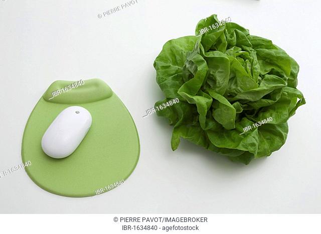 Mouse pad, computer mouse, lettuce