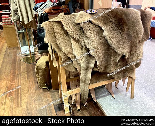 19 May 2022, Australia, Sydney: Kangaroo skins are for sale in a store in The Rocks. Farmers call them a plague, gourmets a treat