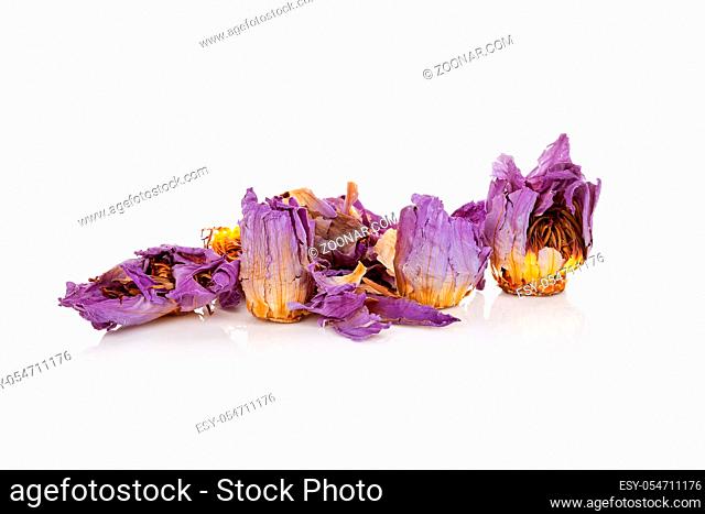 Dried Blue Lotus Flower isolated on white background