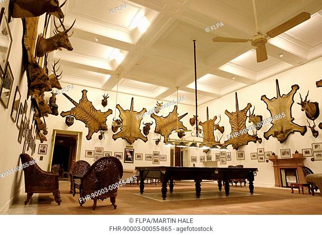 Hunting trophy room with tiger skins, lion skins and mounted deer and antelope heads on walls, The Trophy Room, Laxmi Niwas Palace, Bikaner, Thar Desert
