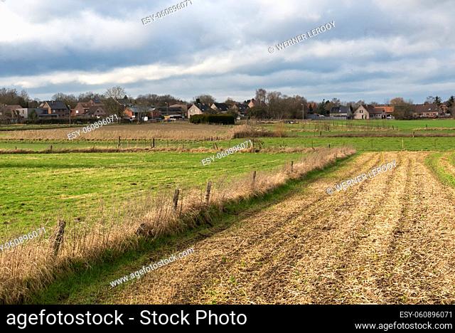 Lovenjoel, Flemish Brabant Region, Belgium - 01 29 2022: Corp field at the Belgian countryside