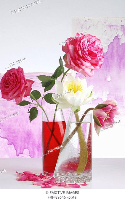 Water lilies and roses in glass vases