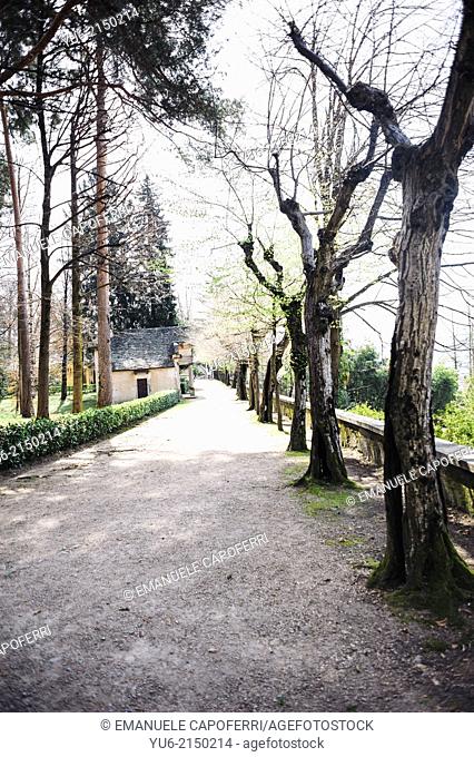 Tree-lined avenue, Sacro Monte di Orta, Orta, Lake Orta, Piedmont, Italy