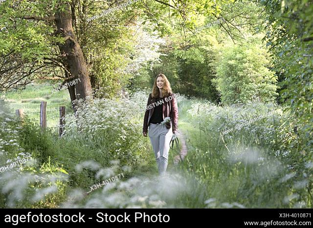 Jeune femme se promenant avec son chien sur un petit sentier de campagne borde d'ombelliferes en lisiere de foret, Departement d'Eure-et-Loir